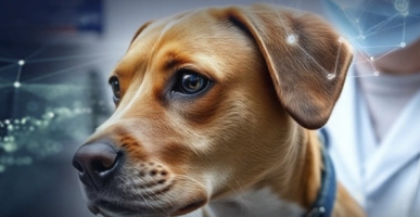 anonsas mažas LSMU 01-c091ad8e154d5d9a9b838047ce0a0e24.jpg